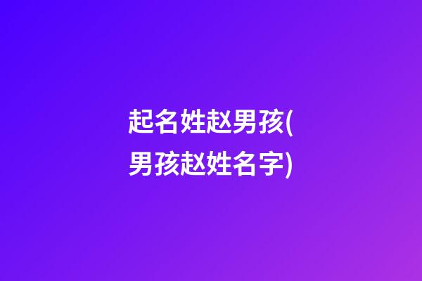 起名姓赵男孩(男孩赵姓名字)
