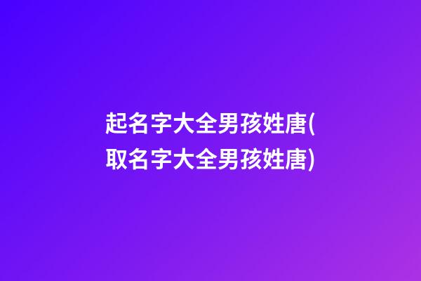 起名字大全男孩姓唐(取名字大全男孩姓唐)