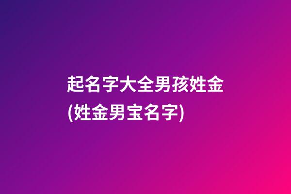 起名字大全男孩姓金(姓金男宝名字)