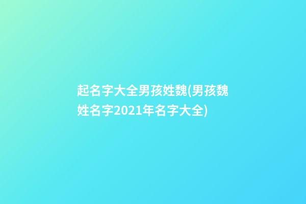 起名字大全男孩姓魏(男孩魏姓名字2021年名字大全)