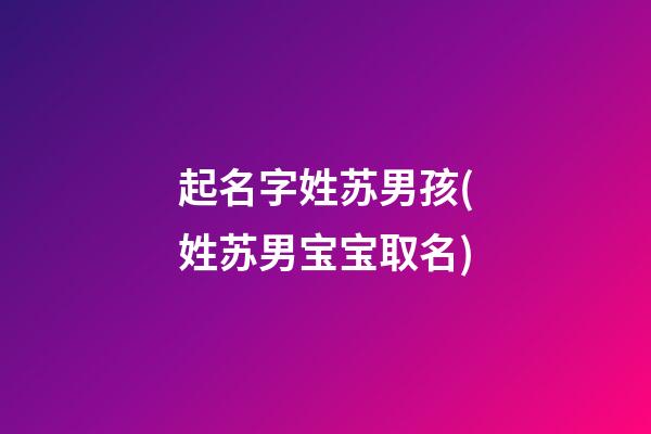 起名字姓苏男孩(姓苏男宝宝取名)