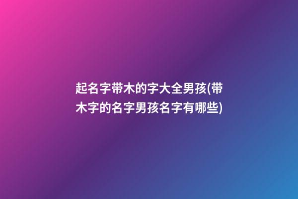 起名字带木的字大全男孩(带木字的名字男孩名字有哪些)