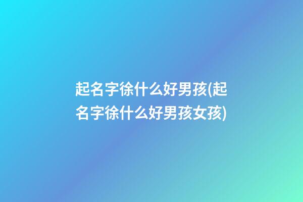 起名字徐什么好男孩(起名字徐什么好男孩女孩)