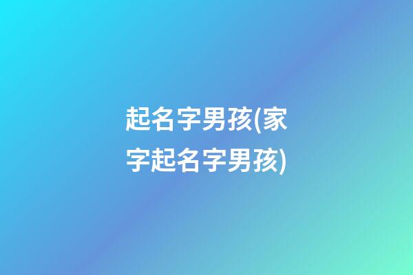 起名字男孩(家字起名字男孩)