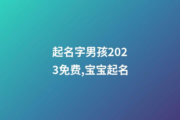 起名字男孩2023免费,宝宝起名