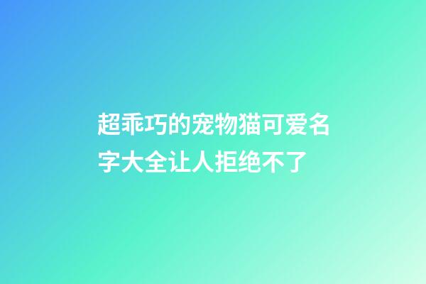 超乖巧的宠物猫可爱名字大全让人拒绝不了