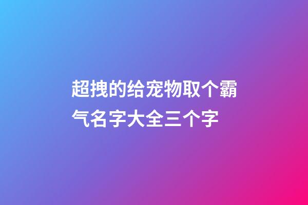 超拽的给宠物取个霸气名字大全三个字