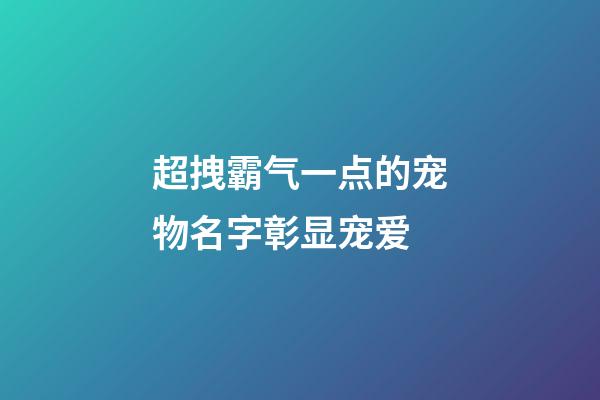 超拽霸气一点的宠物名字彰显宠爱
