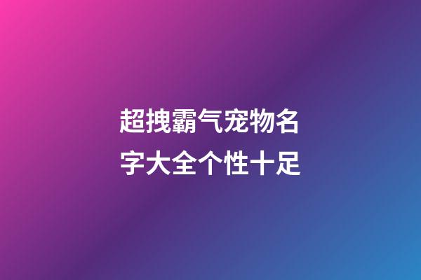 超拽霸气宠物名字大全个性十足