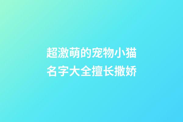 超激萌的宠物小猫名字大全擅长撒娇