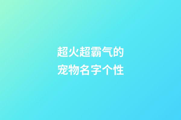 超火超霸气的宠物名字个性
