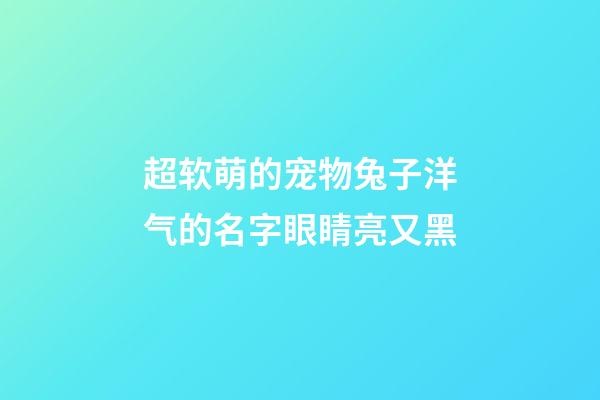 超软萌的宠物兔子洋气的名字眼睛亮又黑