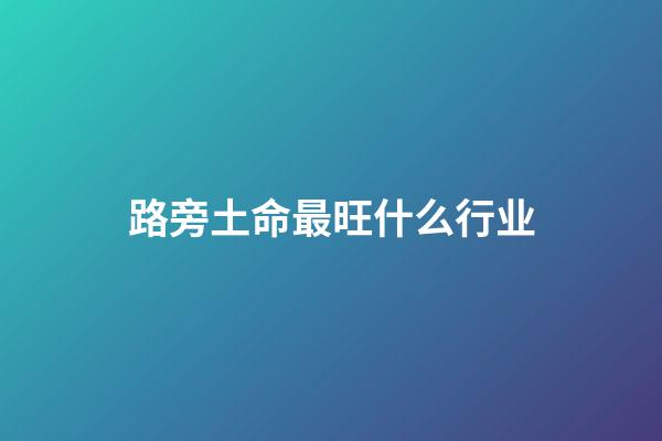 路旁土命最旺什么行业