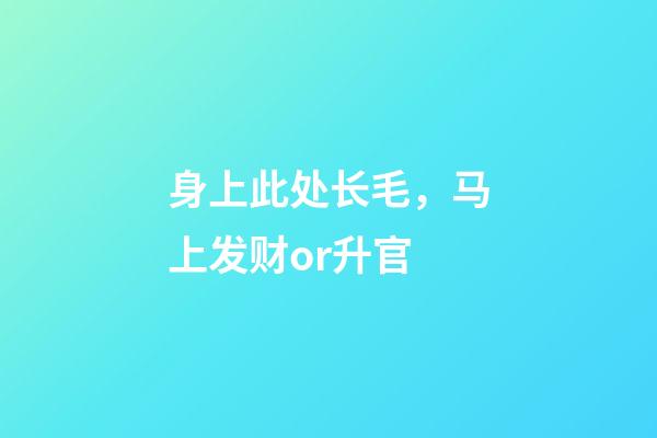 身上此处长毛，马上发财or升官