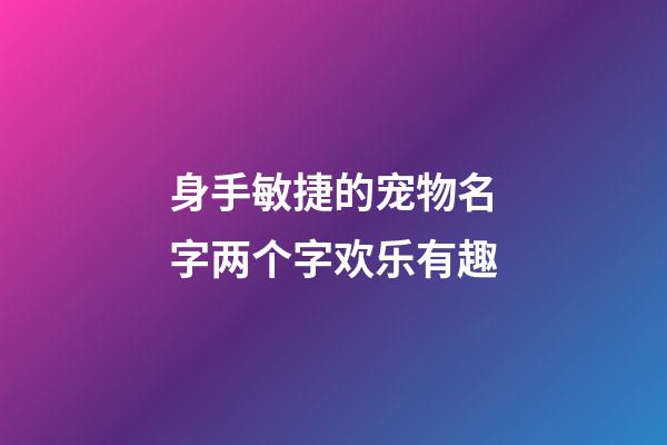 身手敏捷的宠物名字两个字欢乐有趣