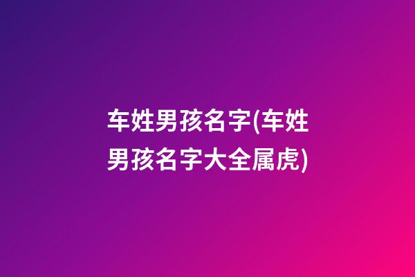 车姓男孩名字(车姓男孩名字大全属虎)