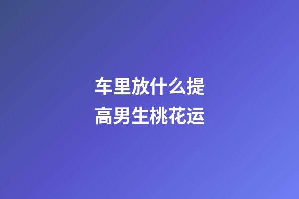 车里放什么提高男生桃花运