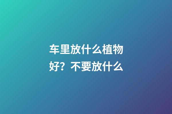 车里放什么植物好？不要放什么