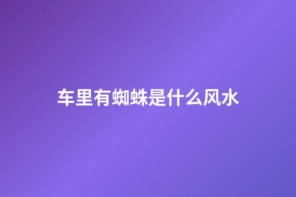 车里有蜘蛛是什么风水