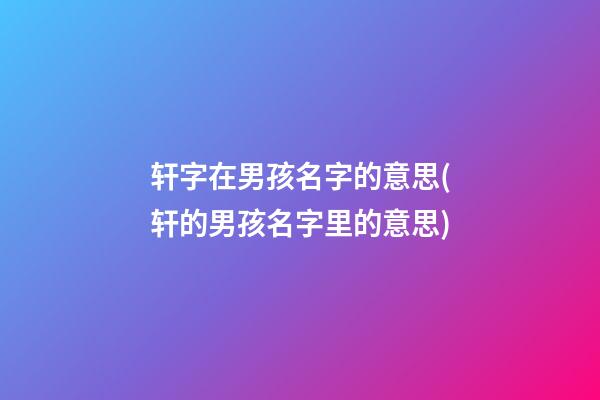轩字在男孩名字的意思(轩的男孩名字里的意思)