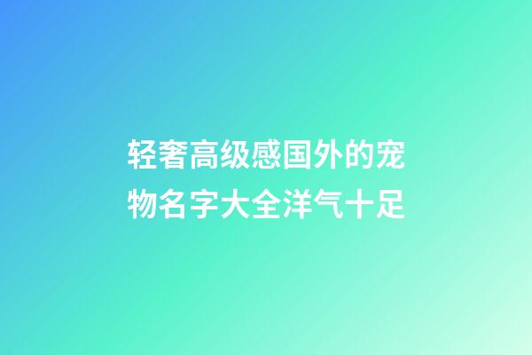 轻奢高级感国外的宠物名字大全洋气十足