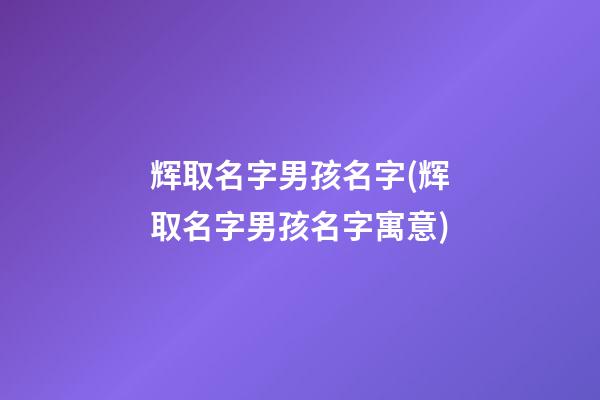 辉取名字男孩名字(辉取名字男孩名字寓意)