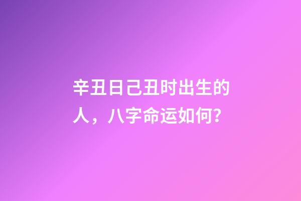 辛丑日己丑时出生的人，八字命运如何？