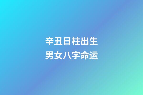 辛丑日柱出生男女八字命运