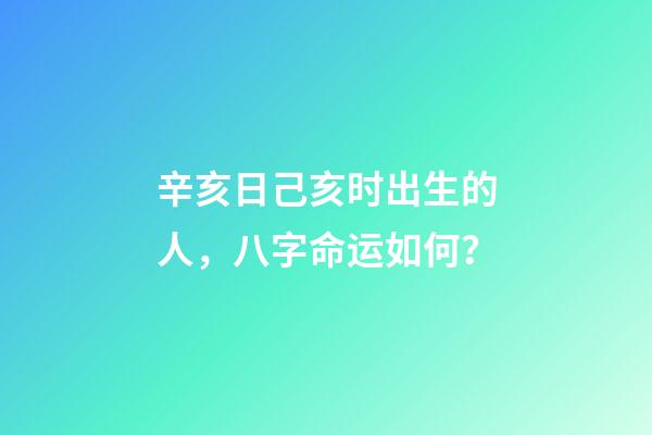 辛亥日己亥时出生的人，八字命运如何？