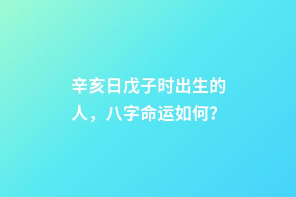 辛亥日戊子时出生的人，八字命运如何？
