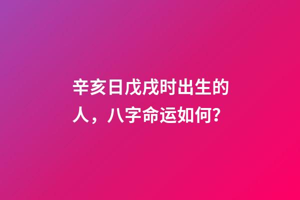 辛亥日戊戌时出生的人，八字命运如何？
