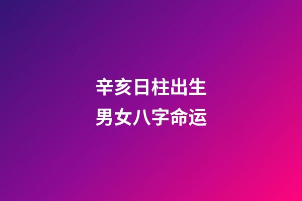 辛亥日柱出生男女八字命运
