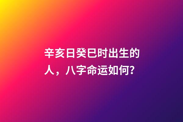 辛亥日癸巳时出生的人，八字命运如何？
