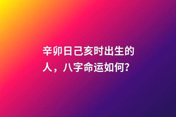 辛卯日己亥时出生的人，八字命运如何？