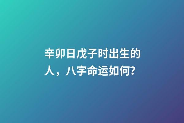 辛卯日戊子时出生的人，八字命运如何？