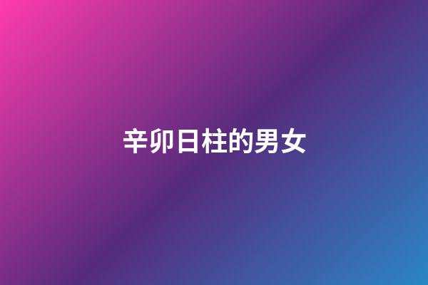 辛卯日柱的男女