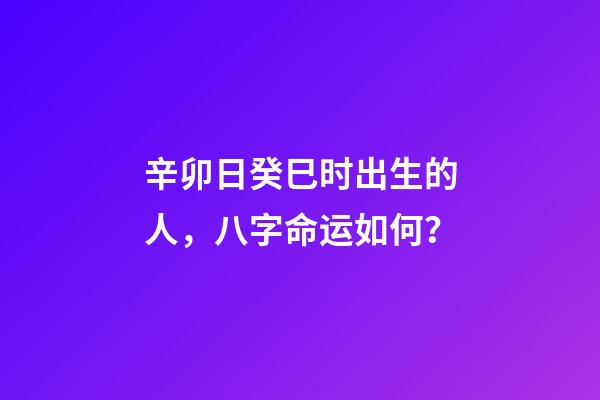 辛卯日癸巳时出生的人，八字命运如何？