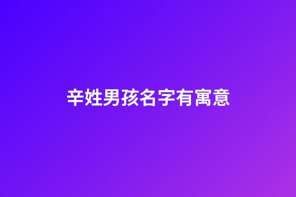 辛姓男孩名字有寓意