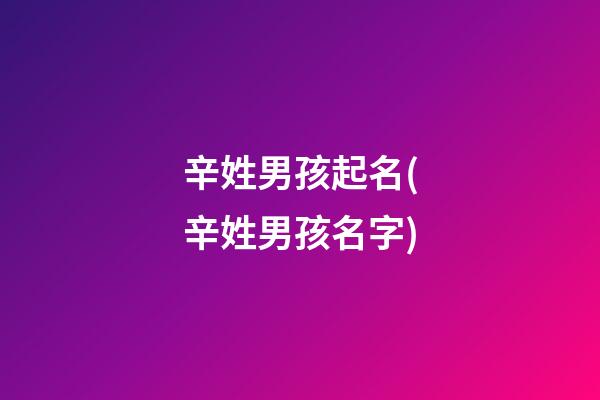 辛姓男孩起名(辛姓男孩名字)