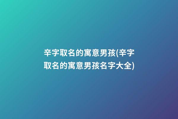 辛字取名的寓意男孩(辛字取名的寓意男孩名字大全)
