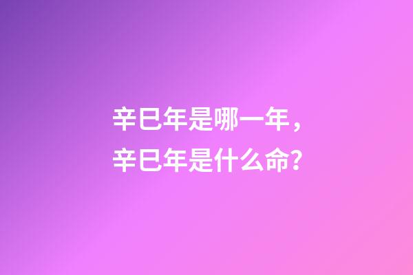 辛巳年是哪一年，辛巳年是什么命？