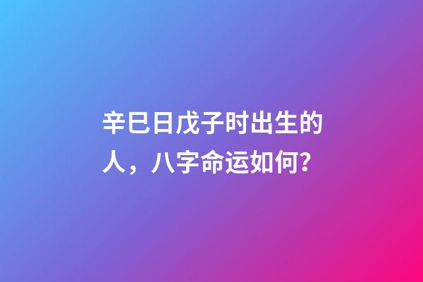 辛巳日戊子时出生的人，八字命运如何？