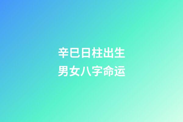 辛巳日柱出生男女八字命运