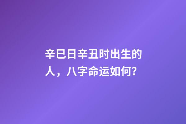 辛巳日辛丑时出生的人，八字命运如何？