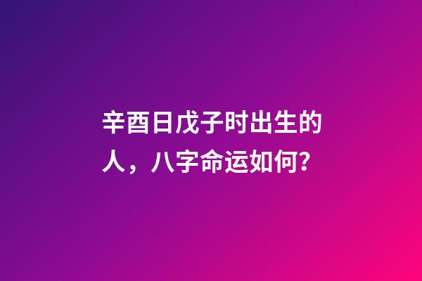辛酉日戊子时出生的人，八字命运如何？