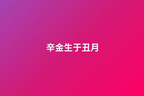 辛金生于丑月