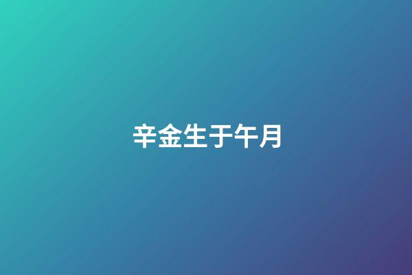 辛金生于午月