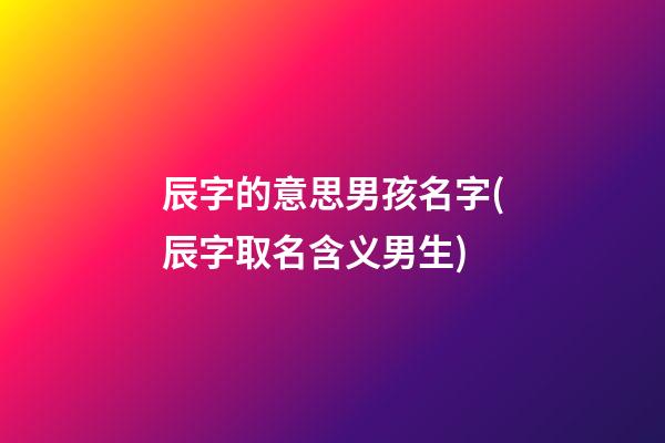 辰字的意思男孩名字(辰字取名含义男生)