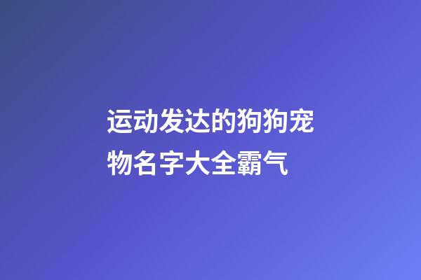 运动发达的狗狗宠物名字大全霸气