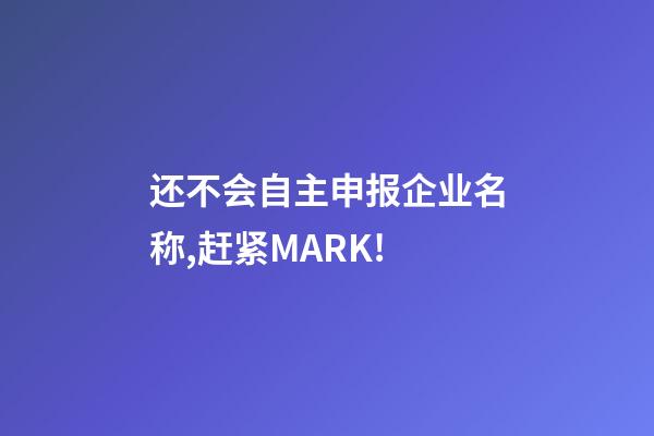 还不会自主申报企业名称,赶紧MARK!-第1张-公司起名-玄机派